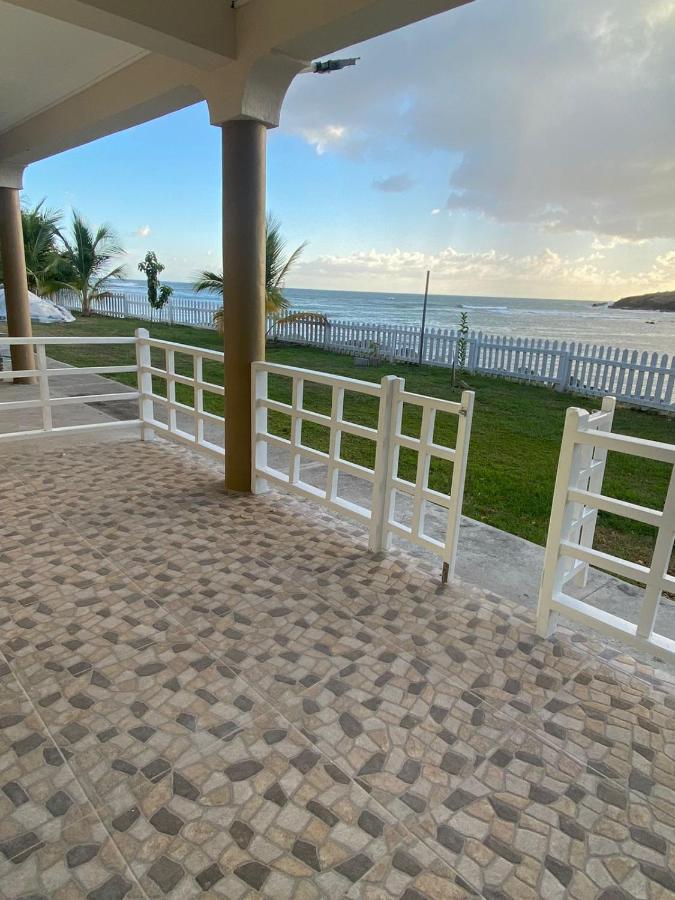 Sealavie Apartments - Grenada St. George's Екстериор снимка